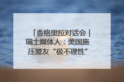 香格里拉对话会｜瑞士媒体人：美国施压盟友“极不理性” 欧洲国家无意与中国“脱钩断链”